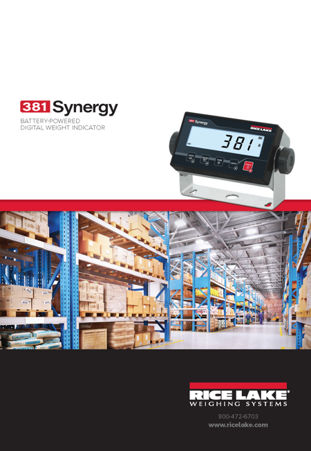 381 Synergy Battery-Powered Digital Weight Indicator
