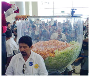 Shrimp Cocktail