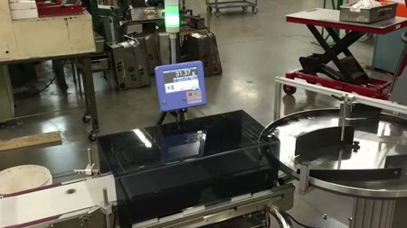 A&D Checkweigher AD-4961: Mint Application