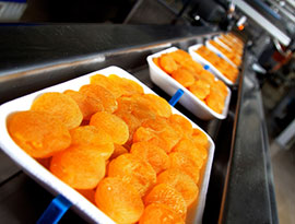Food Processing Industry