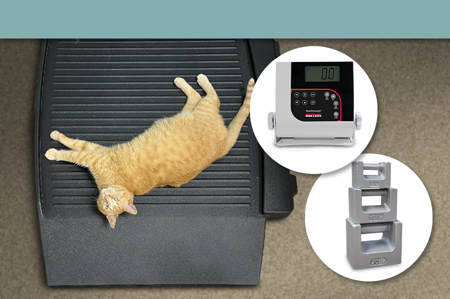 The Benefits of Using a Pet Scale for Weight Management