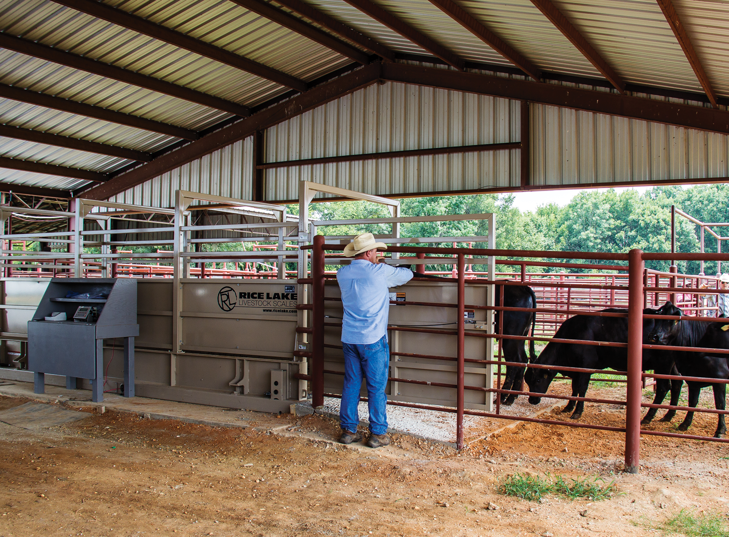 Livestock Application Inbuilding