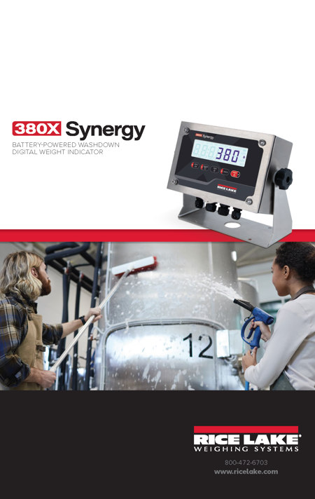 380X Synergy Series Washdown Digital Weight Indicator 