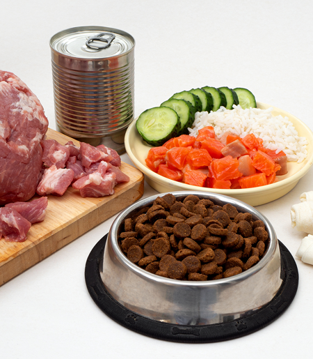 Sanitary Scale Design Standards for Pet Food Processing