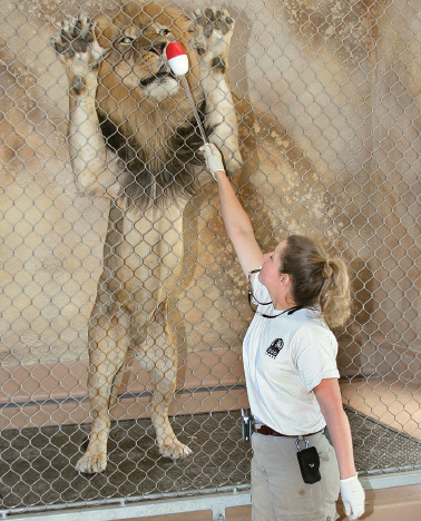 Zoo1 (1)
