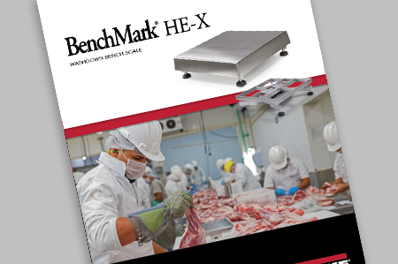 BenchMark HE-X Bench Scale