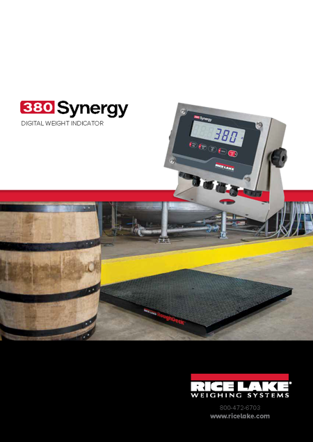 380 Synergy Digital Weight Indicator