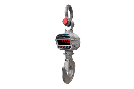 Rice Lake’s New MSI Hi-Torque Crane Scale