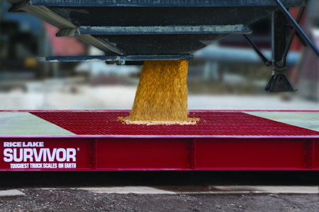 The Ultimate Efficiency Boost for Grain Processors