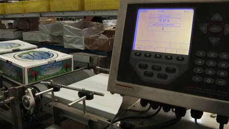 MotoWeigh Cherry Weighing Application