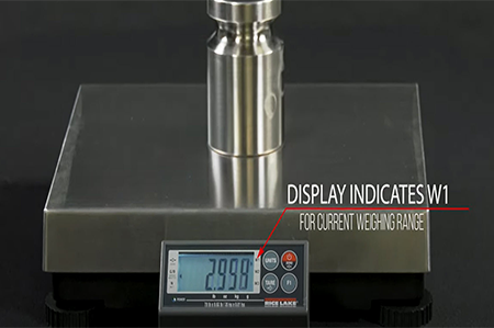 What Is the Difference between Multi-Range and Multi-Interval Weighing?