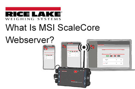 What Is MSI ScaleCore Webserver?