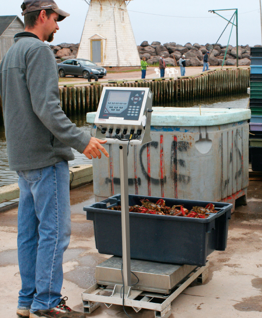 Tignish 920I System