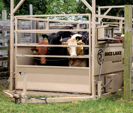 Maintaining Your Livestock Scale