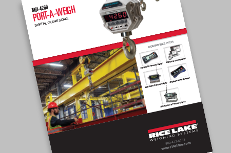 MSI-4260 Port-A-Weigh Crane Scale
