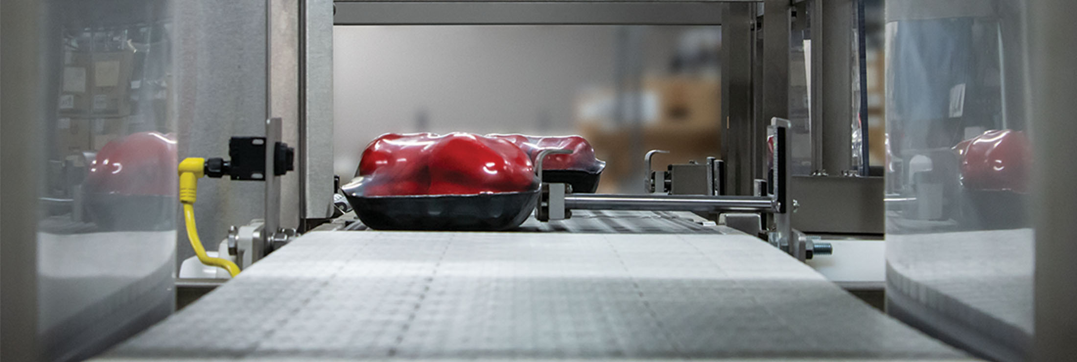 How To Choose A Checkweigher Header