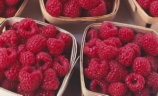 WEB Raspberries Scotland