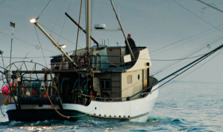 Things to Consider When Purchasing Commercial Fishing Scales