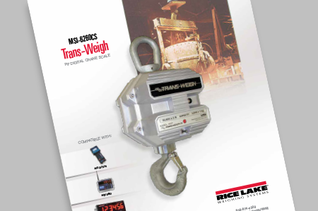 MSI-6260CS Trans-Weigh RF Digital Crane Scale