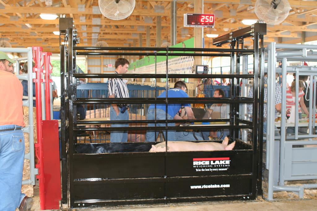 01 Ag Scale 014