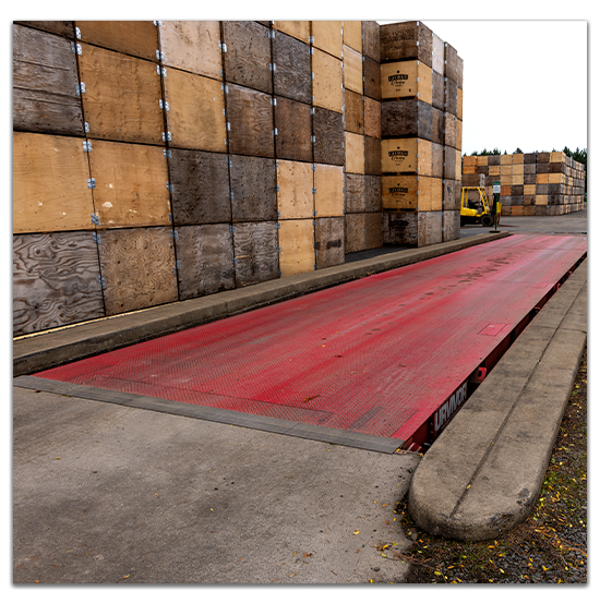 1 WEB Midvalley Hazelnut SURVIVOR Truck Scale