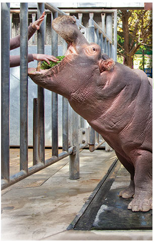 Zoo1