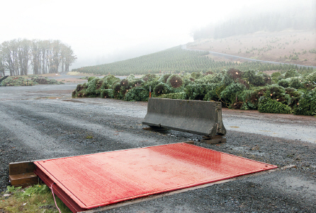 Roughdeck Ax 1 Axle Scale