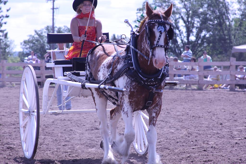 08 New Fair Pictures 243