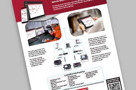 RL Web Display Remote Scale Monitoring Software
