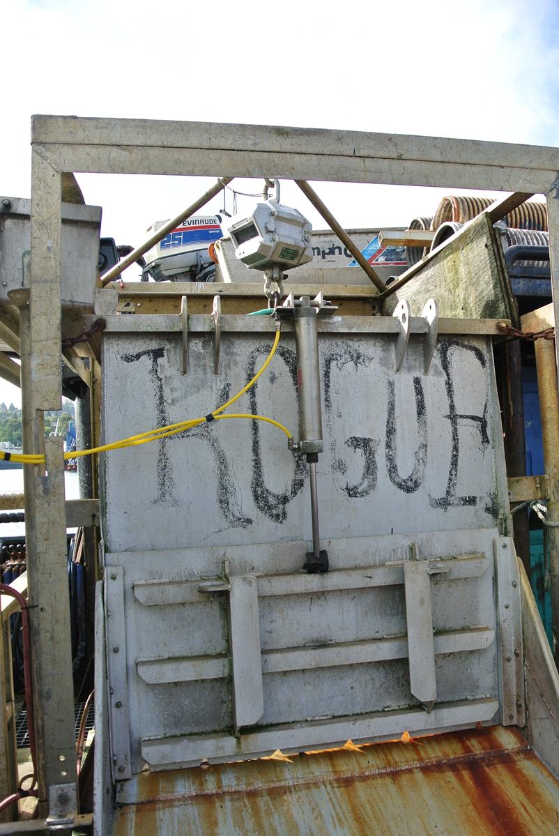 FS Likeliestcatch 04