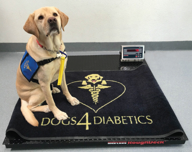 Dogs 4 Diabetics