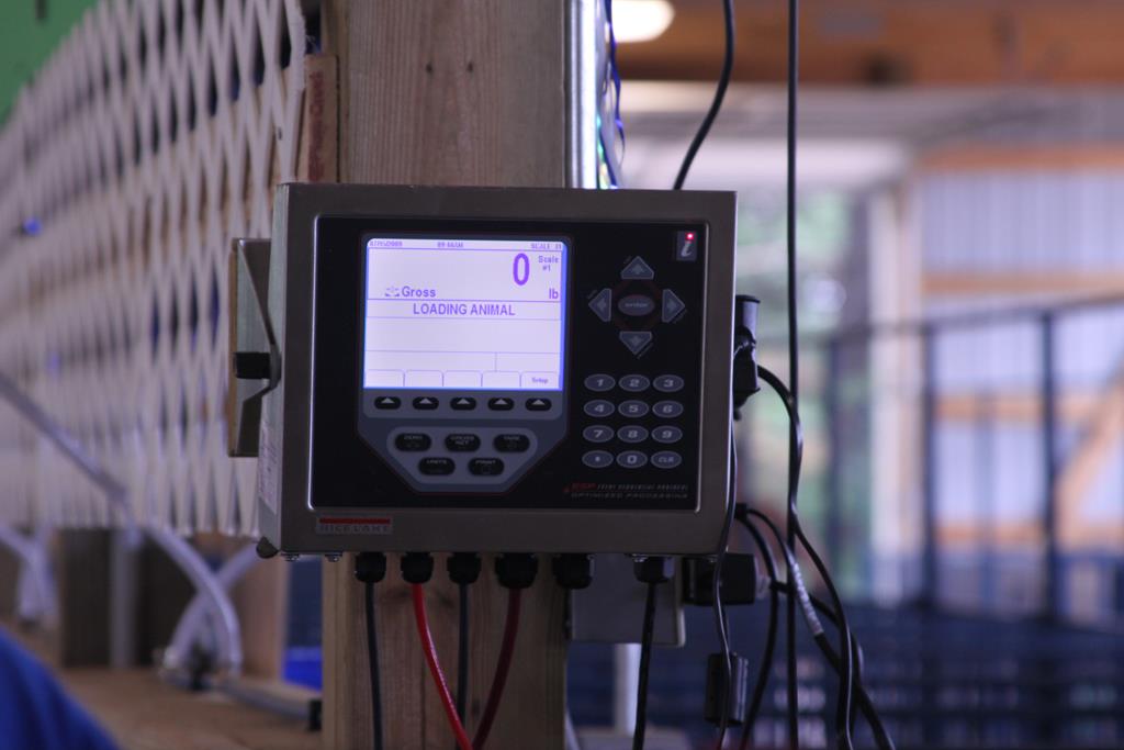 05 Ag Scale 193