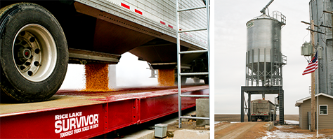 1 WEB Crop Processing Grain Scales