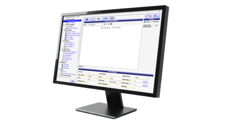 1 US Scalelinkpro5