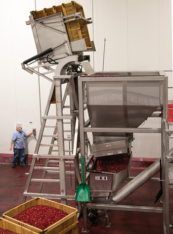 Cranberry Hopper