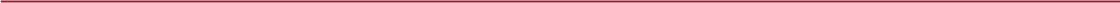 Assets Rule Line Straight Red