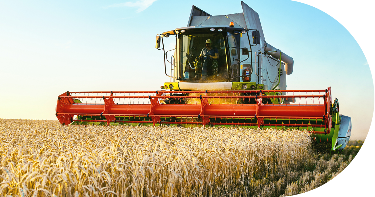 1 Web Agriculture 2