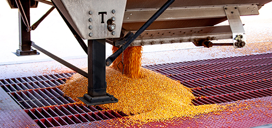 1 WEB Agriculture Grain Dump Scale