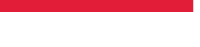 LOGO IN Ricelake India REV 200X47